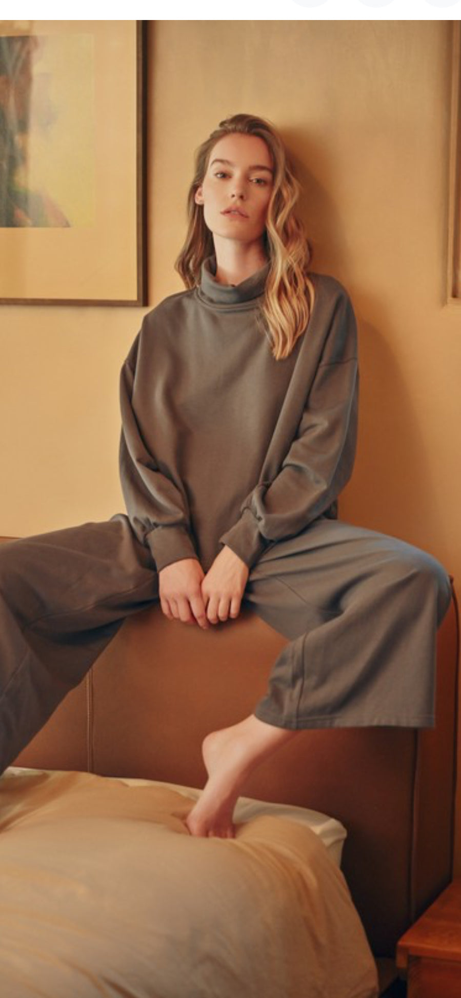Mock Ensemble Set