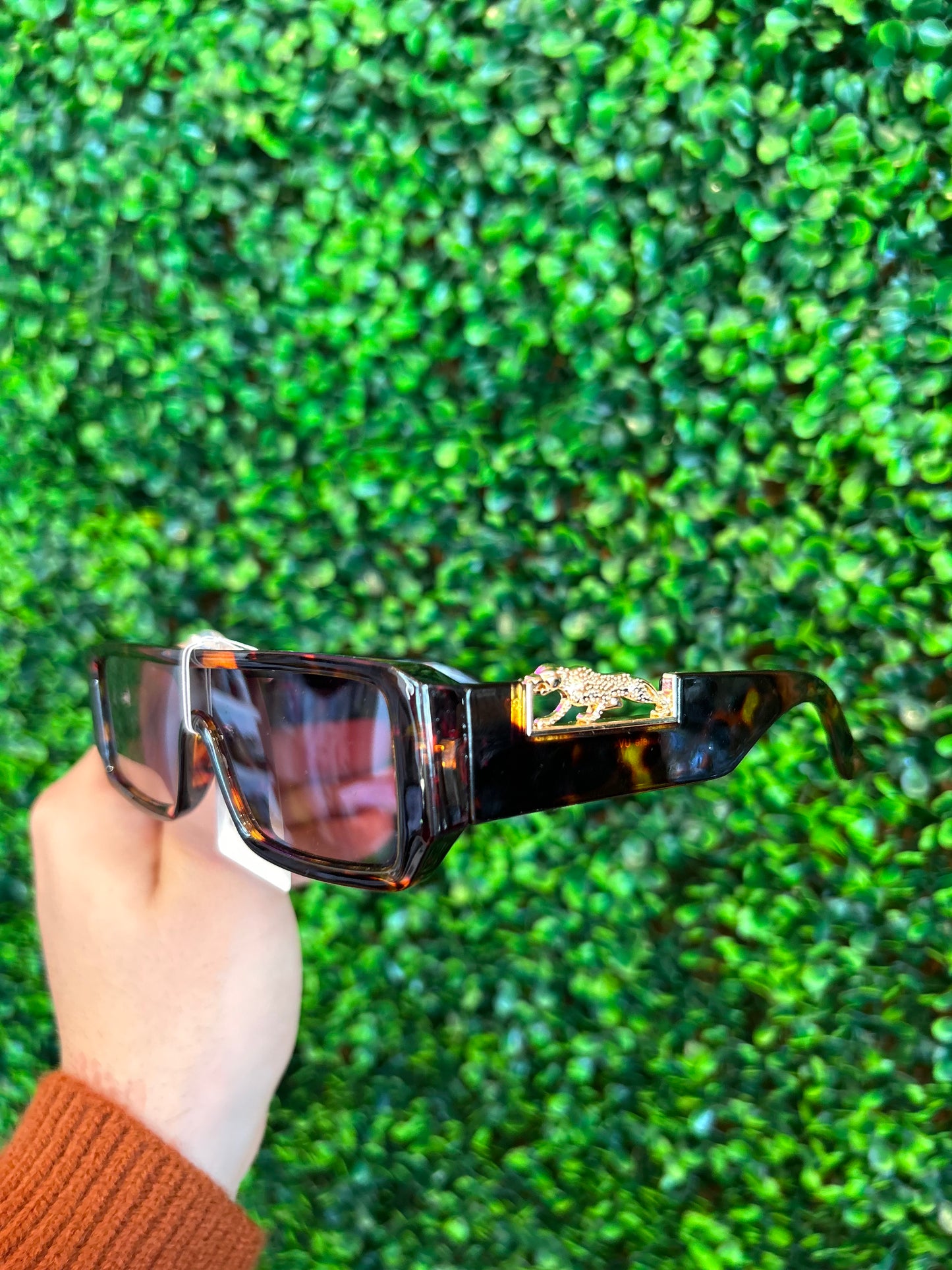 Jaguar Shades
