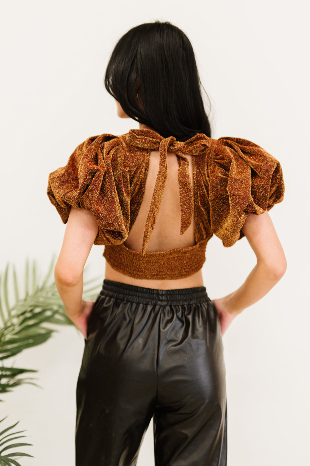 Glitter Puff Cropped Top