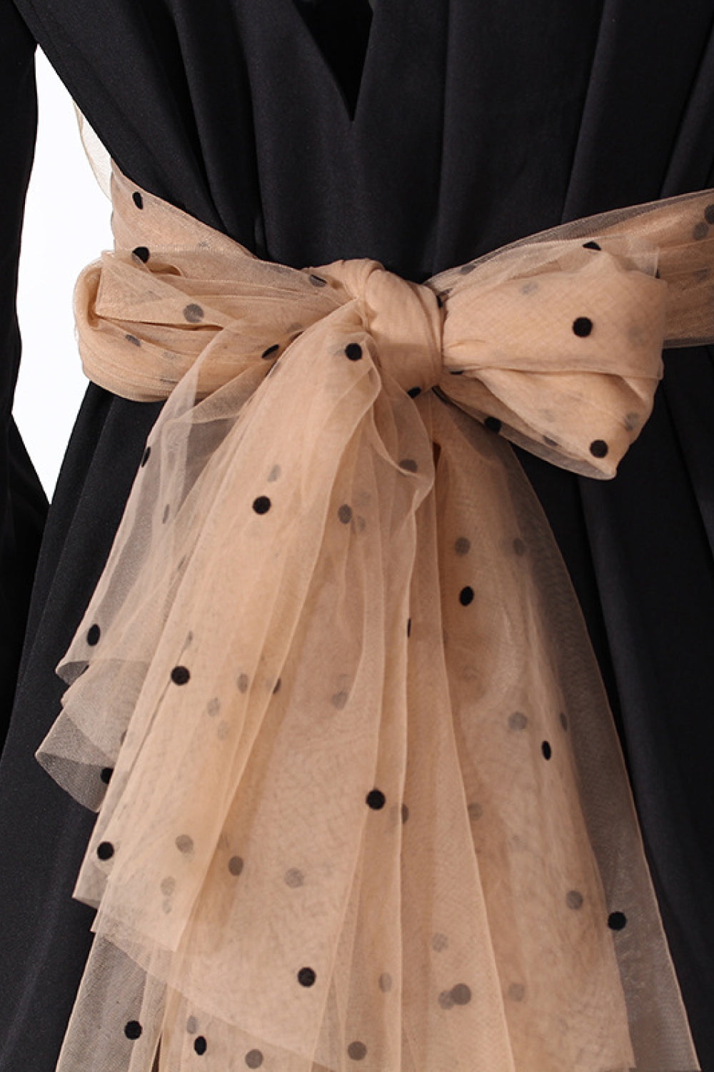 Polka Dot Mesh Dress