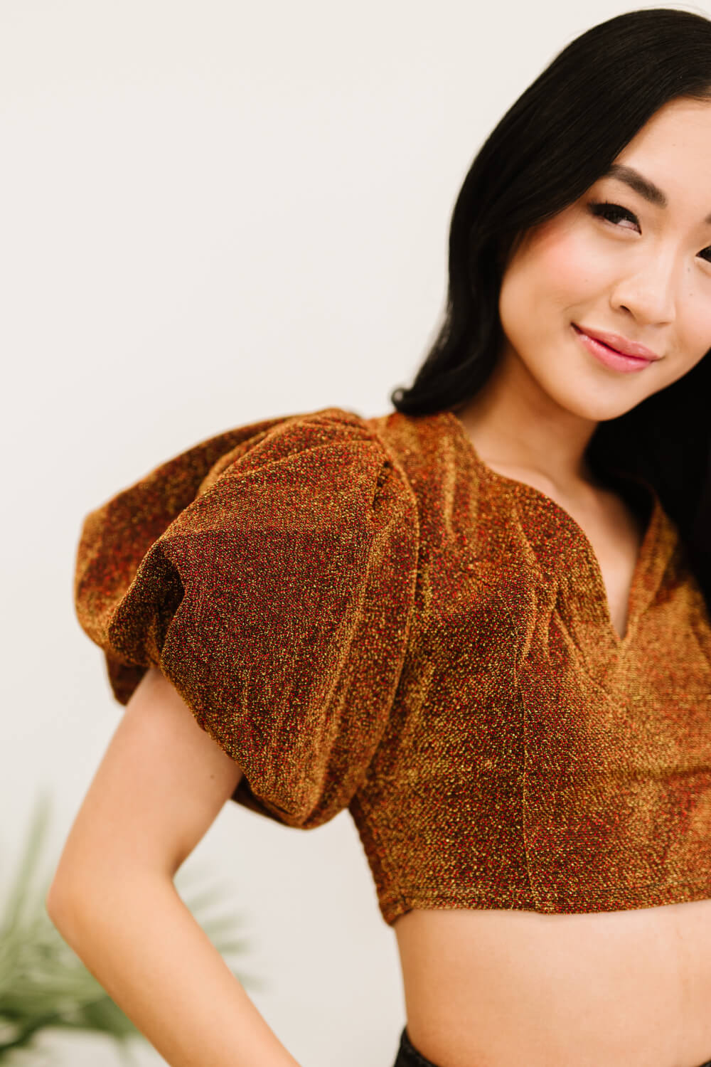 Glitter Puff Cropped Top