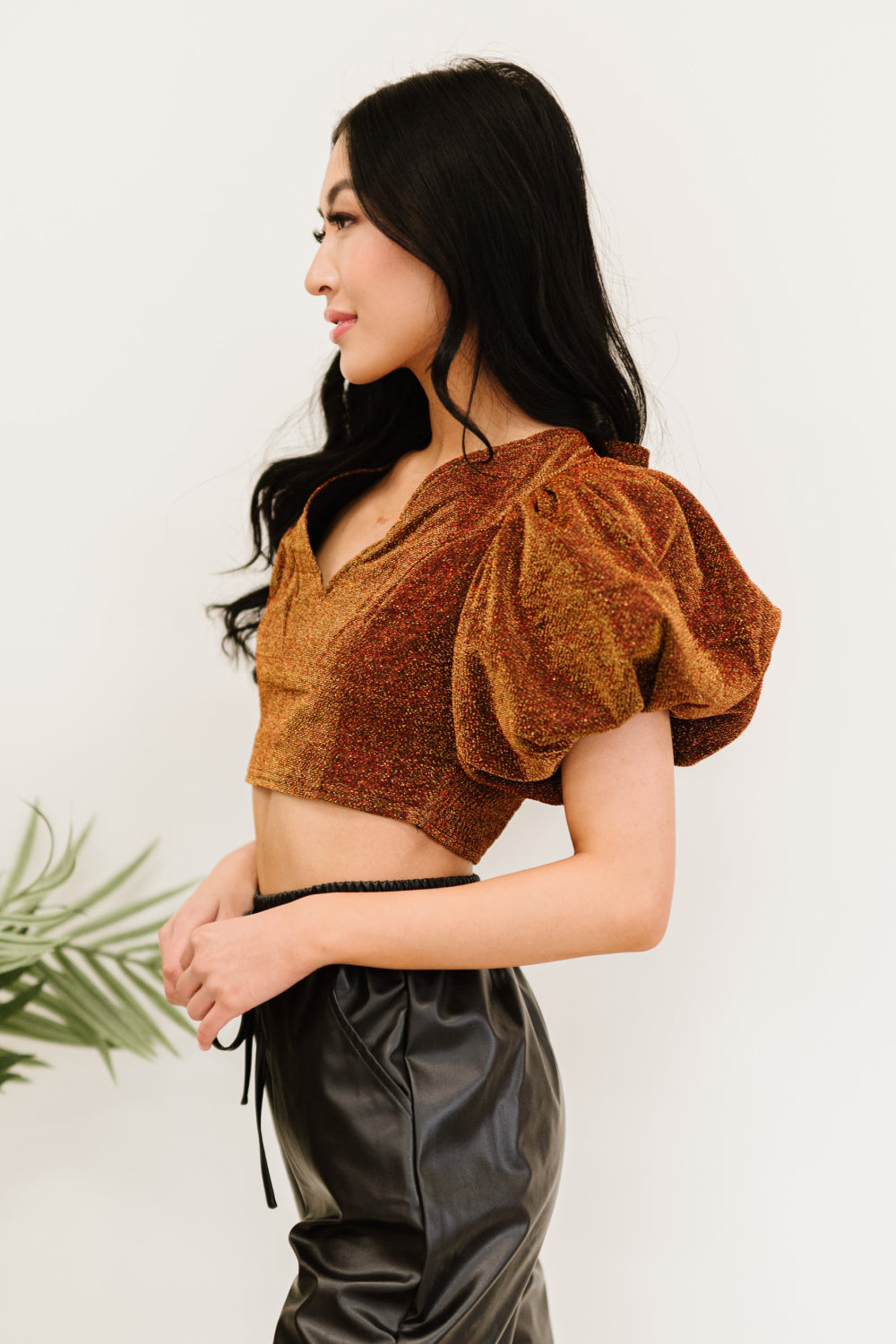 Glitter Puff Cropped Top