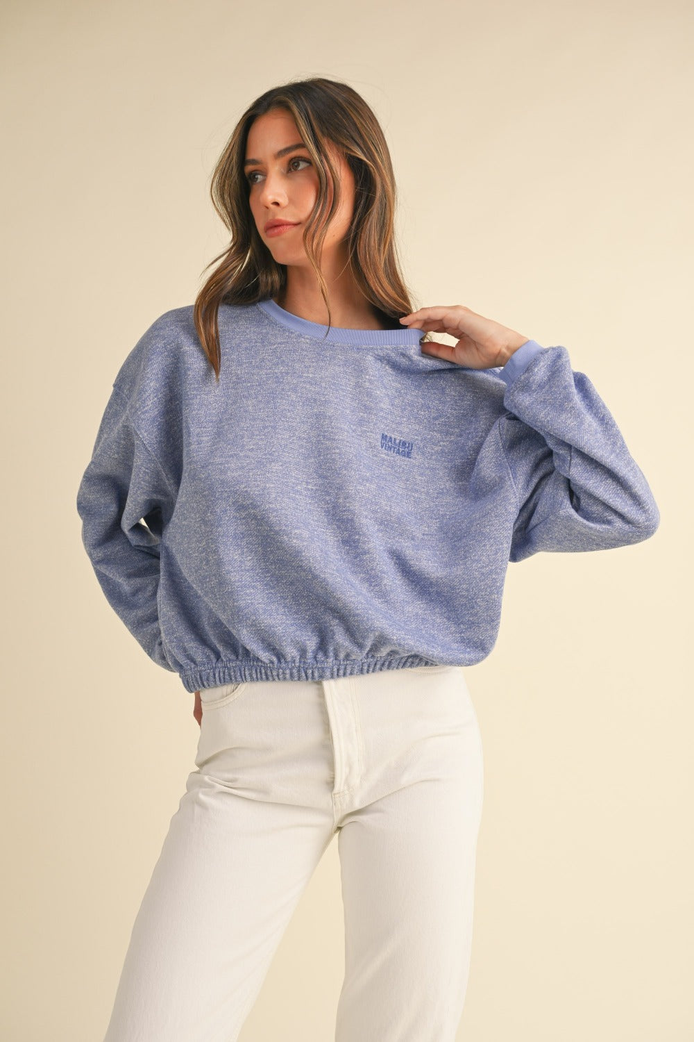 Embroidery Crop Sweatshirt (blue)