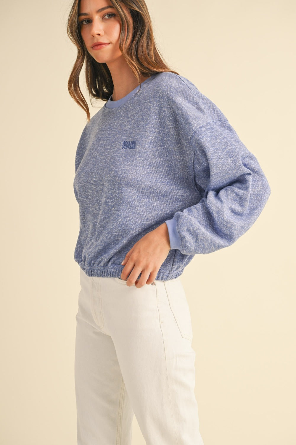 Embroidery Crop Sweatshirt (blue)