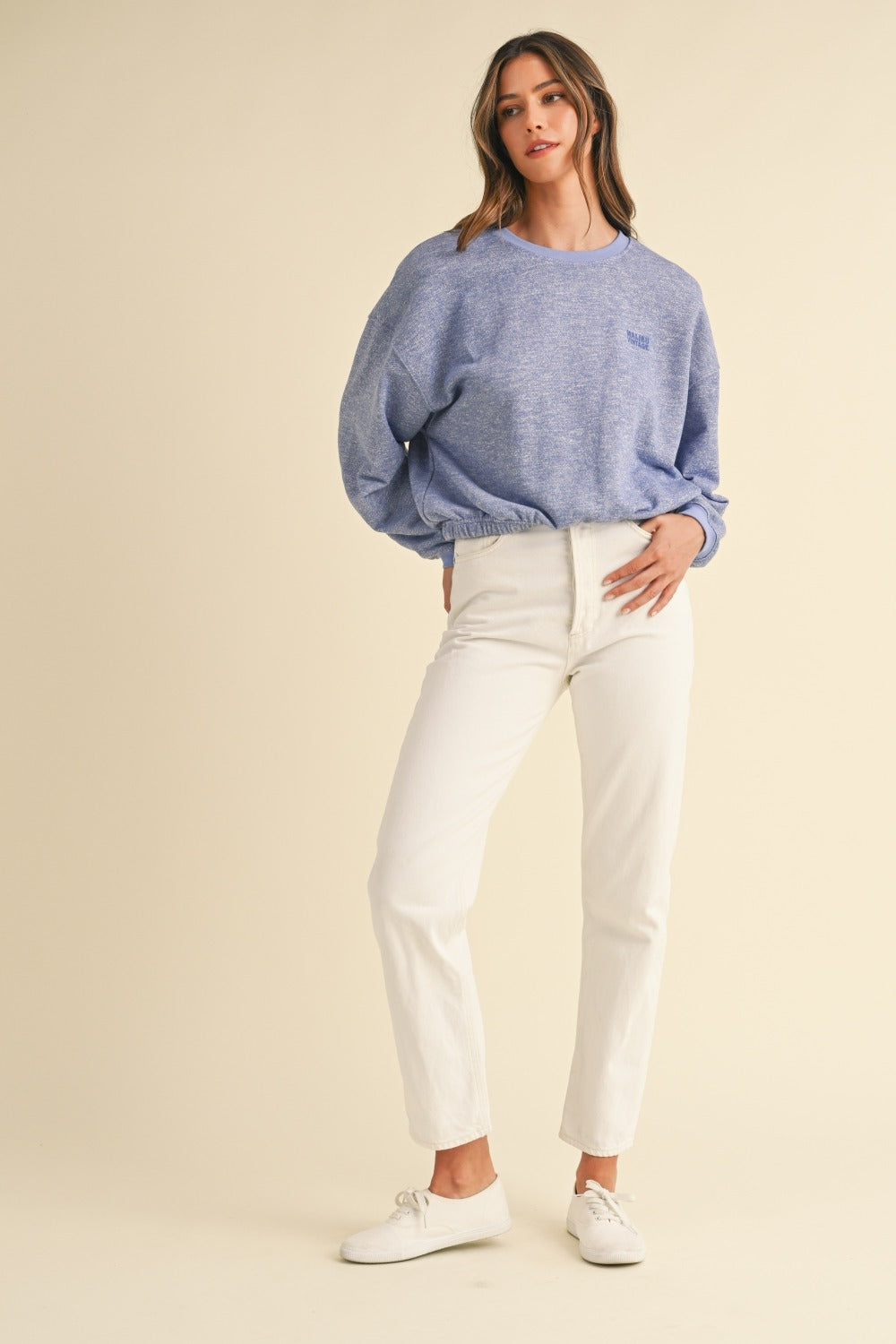 Embroidery Crop Sweatshirt (blue)